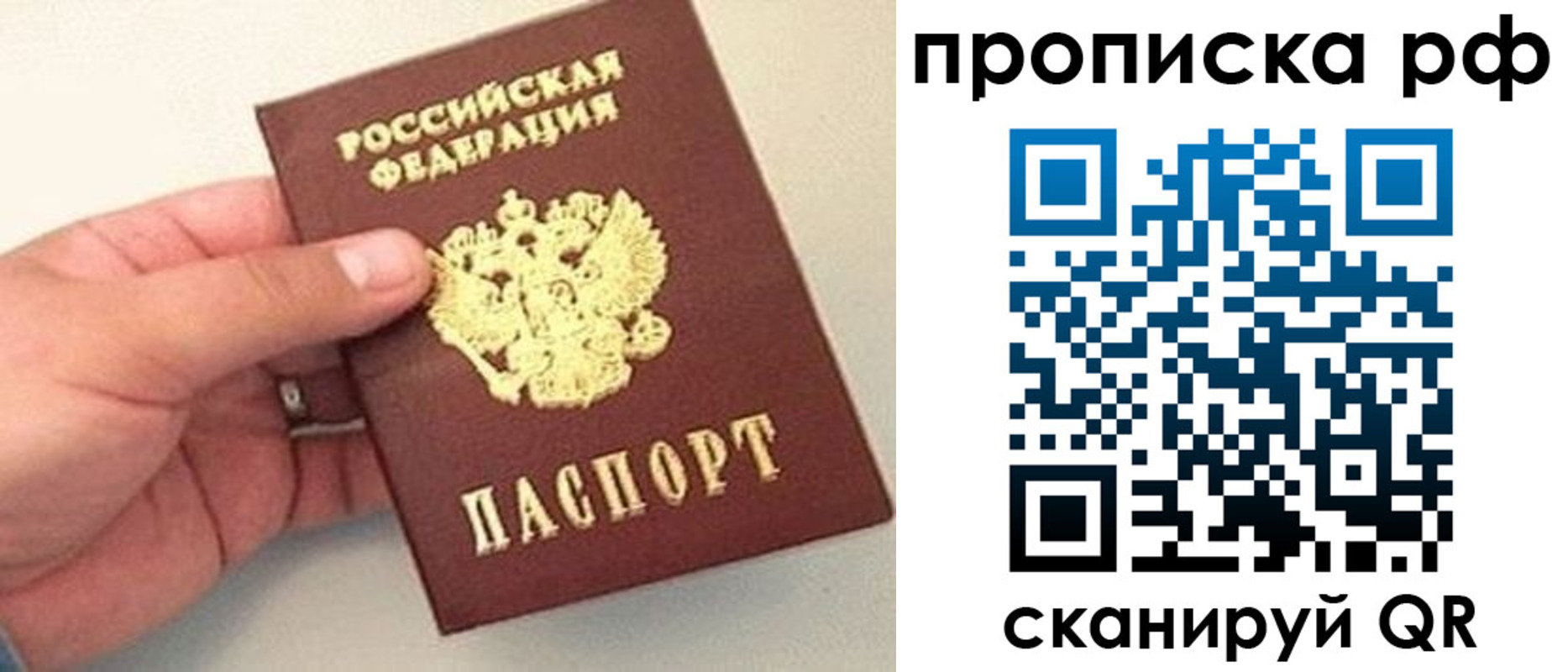 временная регистрация для всех в Снежногорске
